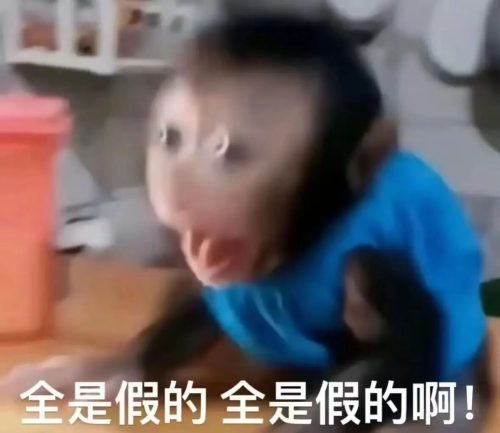 打假